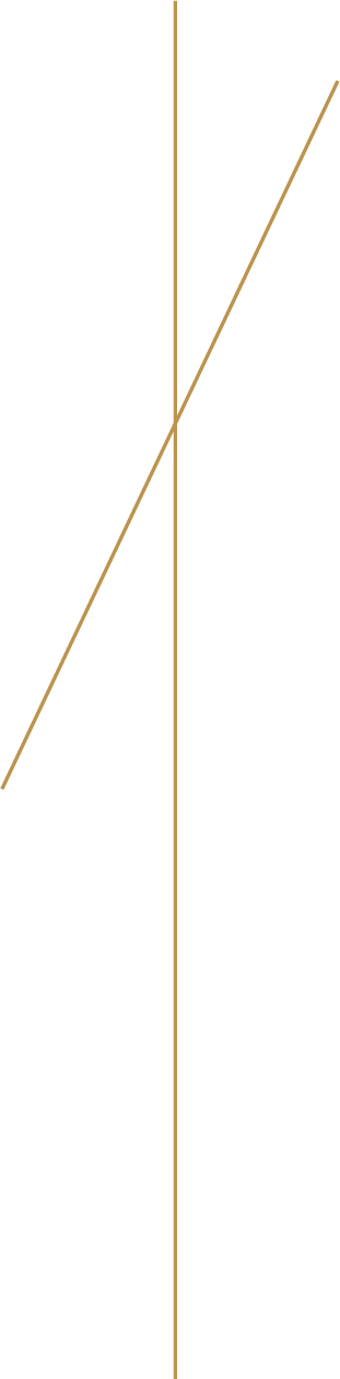 Grafismo
